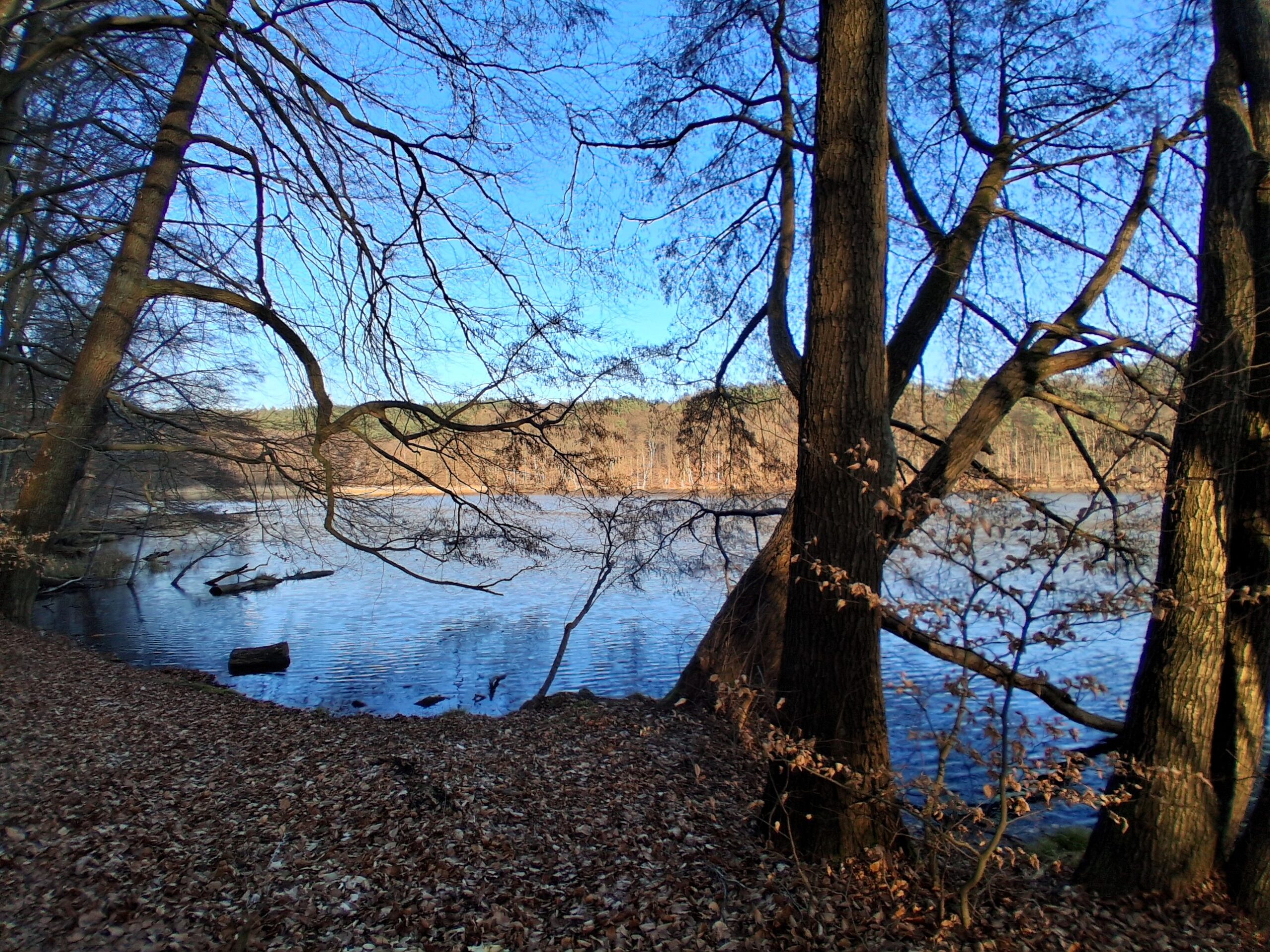Kraftort am Tornowsee